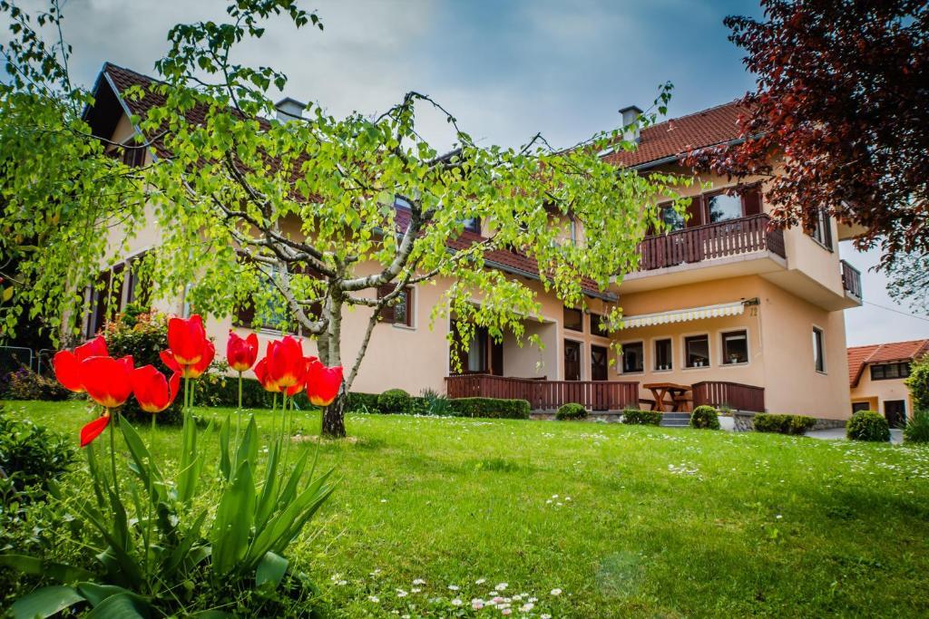 Apartments And Rooms Stefanac سلوني المظهر الخارجي الصورة